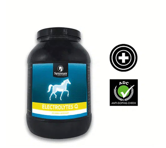 Synovium Electrolytes Q