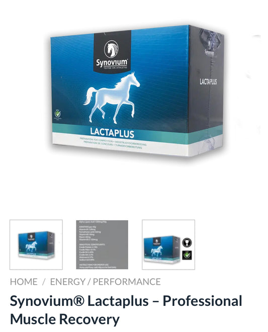 Synovium Lactaplus powder