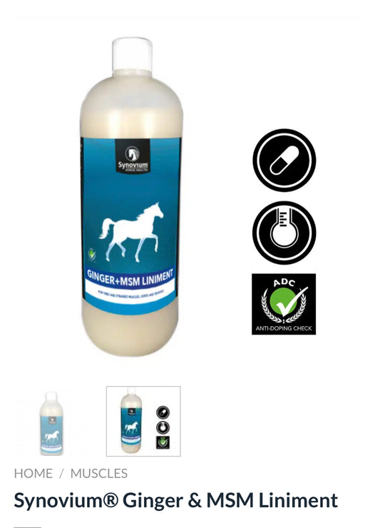 Synovium® Ginger & MSM Liniment 1L