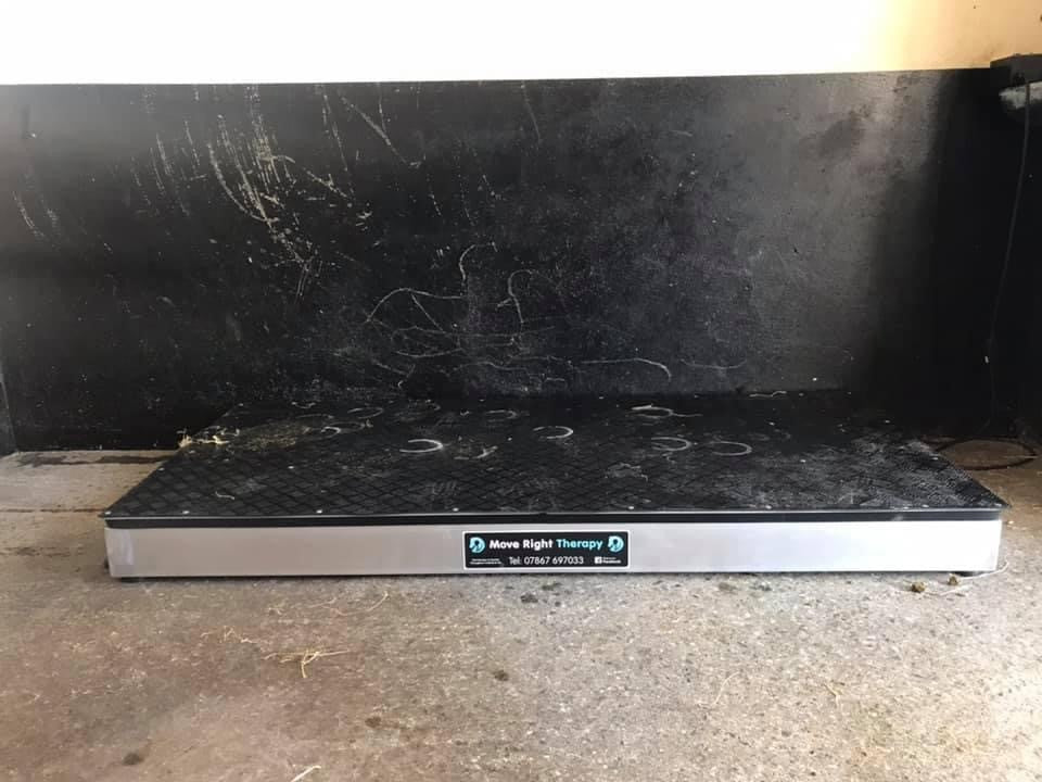 Horse Floor Plate (walk in)