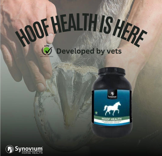 Synovium Hoof Health